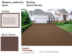  : Scallop   Burnt Sienna 