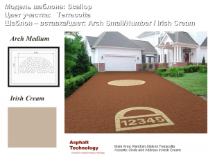        : Scallop  :   Terracotta  /: Arch Small/Number / Irish Cream  