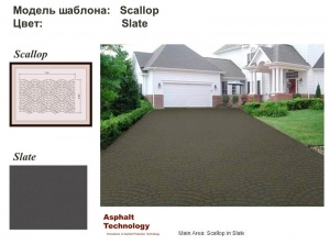  :  Scallop   Slate 