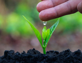 Органический пылеподавитель для дорог Rdclean