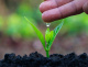 Органический пылеподавитель для дорог Rdclean