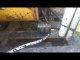 Термобокс на раме AMZ Spray Injection Patcher Magnum 6