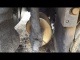 Асфальтоукладчик Cat 655 Track Paver