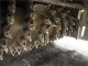 Дорожная фреза бу WIRTGEN W200