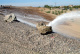 Полимерный порошок для пылеподавления  Powdered Soiltac
